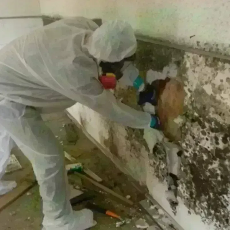 Mold Remediation and Removal in Crystal Lakes, OH